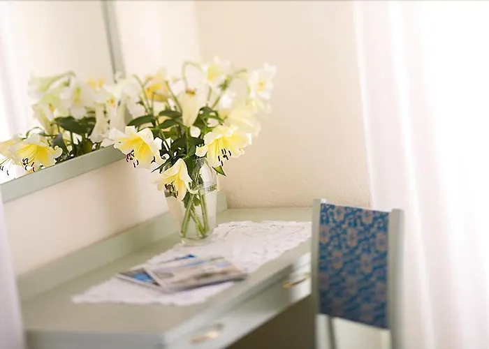 Aida 3* 알라시오